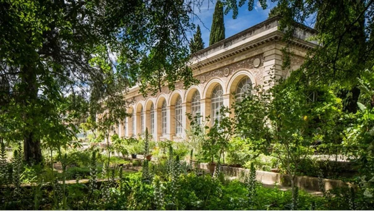 Place De La Comedie - Magnifique T2 Au Calme Montpellier Exterior photo